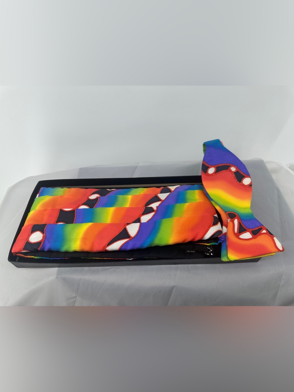 Rainbow silk bow tie and cummerbund set